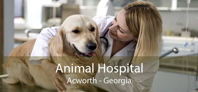 Animal Hospital Acworth - Georgia