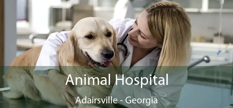 Animal Hospital Adairsville - Georgia