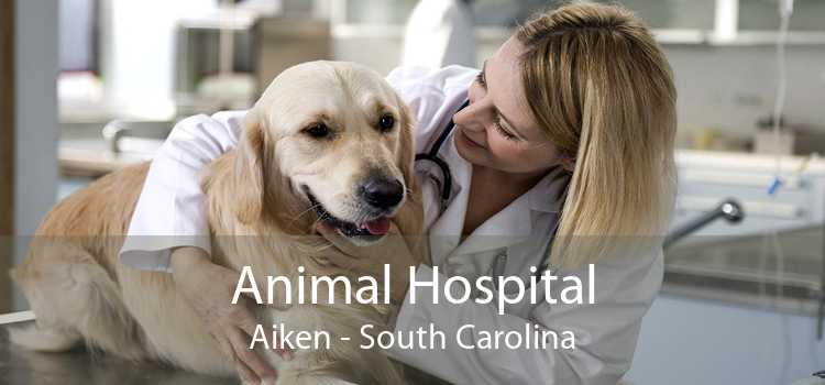 Animal Hospital Aiken - South Carolina