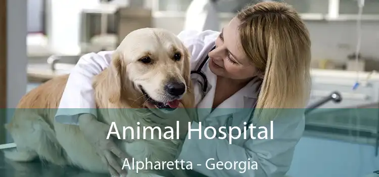 Animal Hospital Alpharetta - Georgia