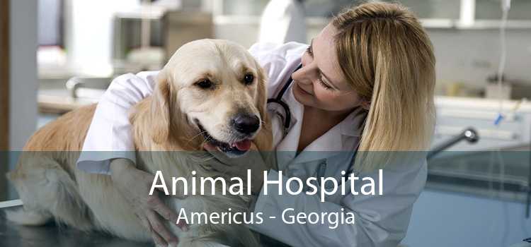 Animal Hospital Americus - Georgia