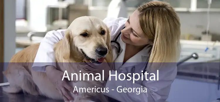 Animal Hospital Americus - Georgia