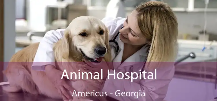 Animal Hospital Americus - Georgia