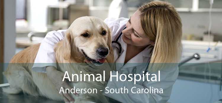 Animal Hospital Anderson - South Carolina