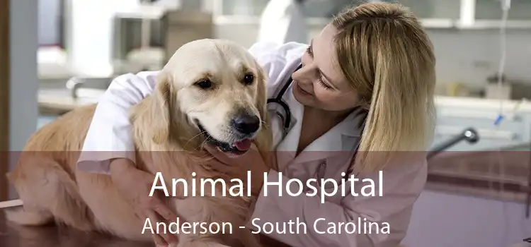 Animal Hospital Anderson - South Carolina