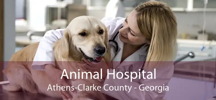 Animal Hospital Athens-Clarke County - Georgia