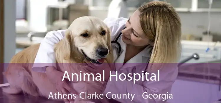 Animal Hospital Athens-Clarke County - Georgia