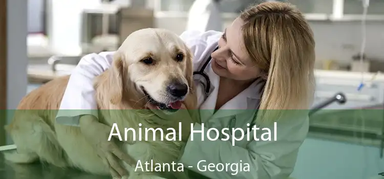 Animal Hospital Atlanta - Georgia