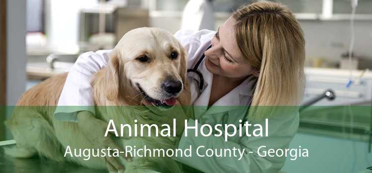 Animal Hospital Augusta-Richmond County - Georgia