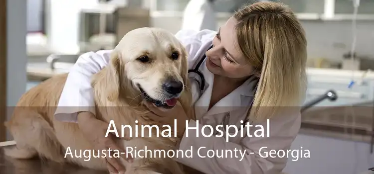 Animal Hospital Augusta-Richmond County - Georgia