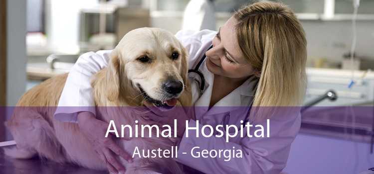 Animal Hospital Austell - Georgia