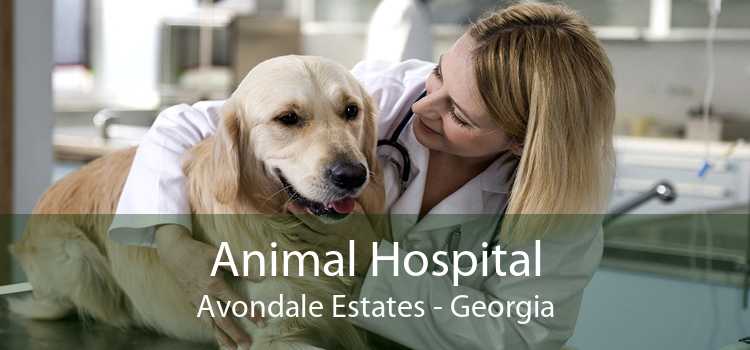 Animal Hospital Avondale Estates - Georgia