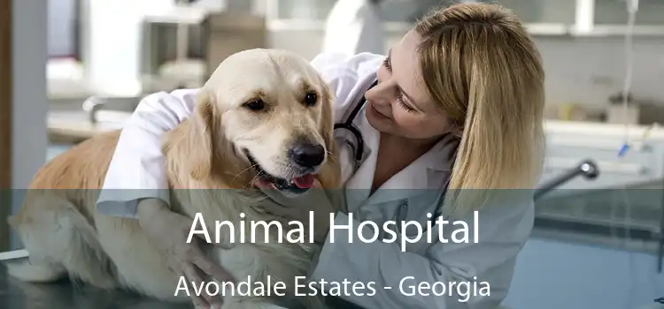 Animal Hospital Avondale Estates - Georgia