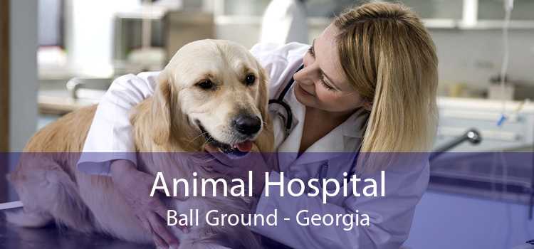 Animal Hospital Ball Ground - Georgia