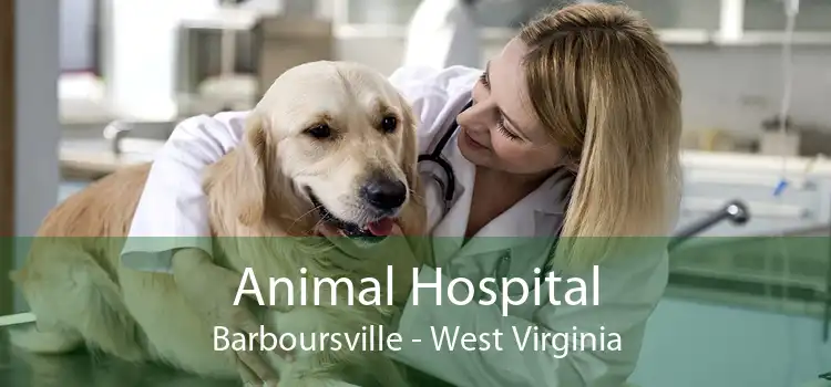 Animal Hospital Barboursville - West Virginia