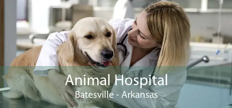 Animal Hospital Batesville - Arkansas