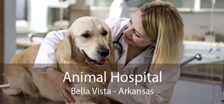 Animal Hospital Bella Vista - Arkansas