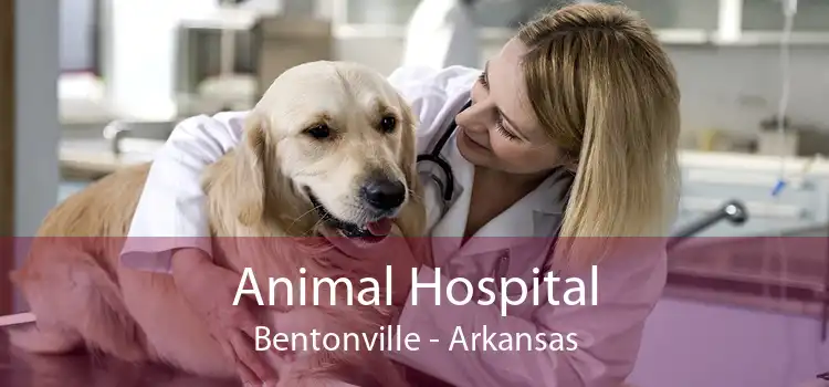 Animal Hospital Bentonville - Arkansas
