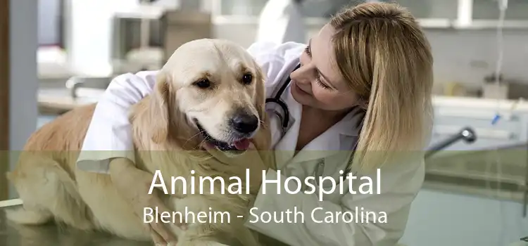 Animal Hospital Blenheim - South Carolina