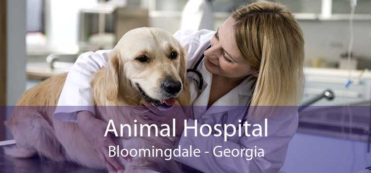 Animal Hospital Bloomingdale - Georgia
