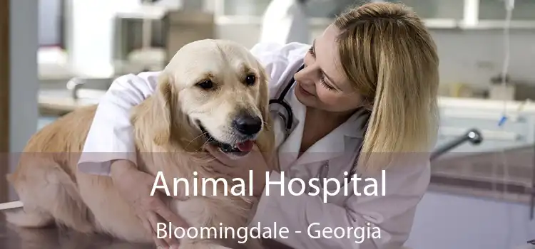 Animal Hospital Bloomingdale - Georgia