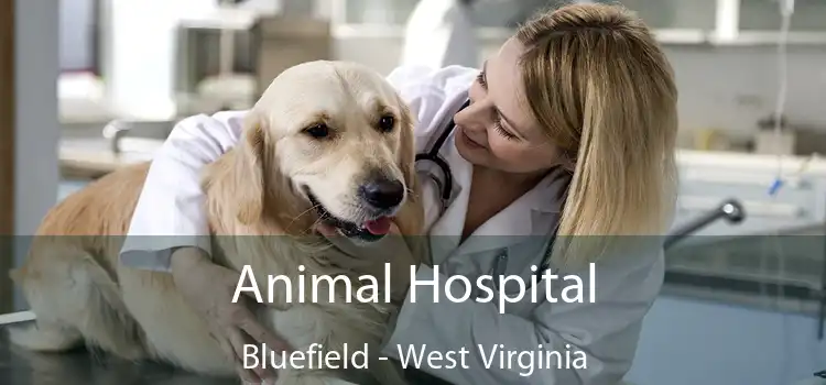 Animal Hospital Bluefield - West Virginia