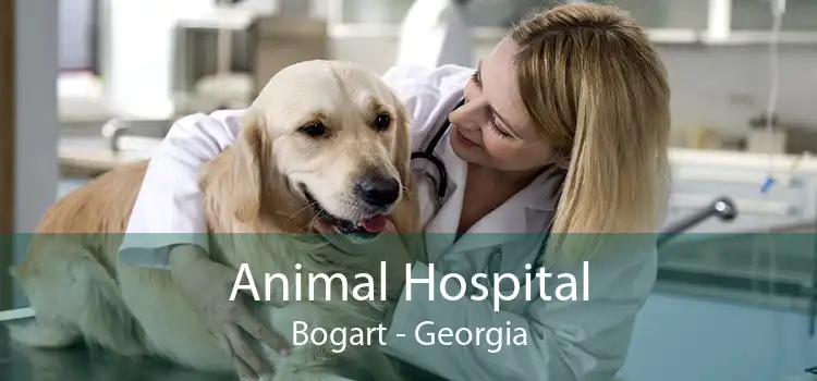 Animal Hospital Bogart - Georgia