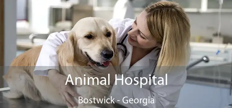 Animal Hospital Bostwick - Georgia