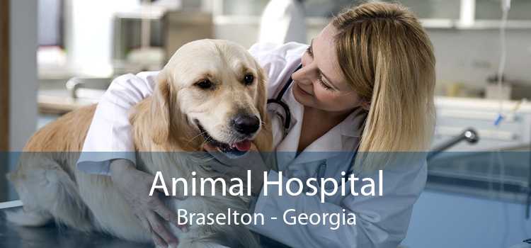 Animal Hospital Braselton - Georgia