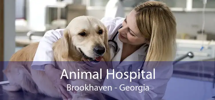 Animal Hospital Brookhaven - Georgia