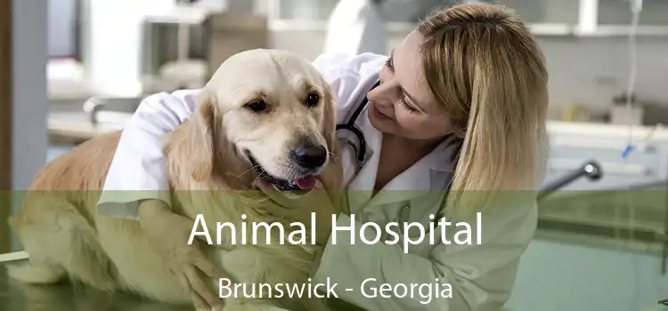 Animal Hospital Brunswick - Georgia