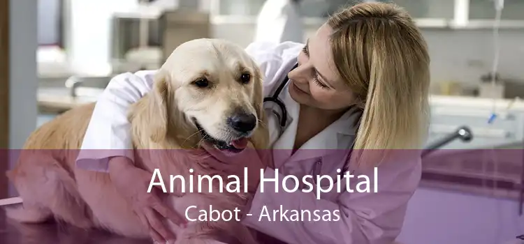 Animal Hospital Cabot - Arkansas