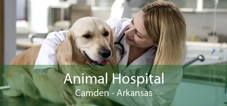 Animal Hospital Camden - Arkansas