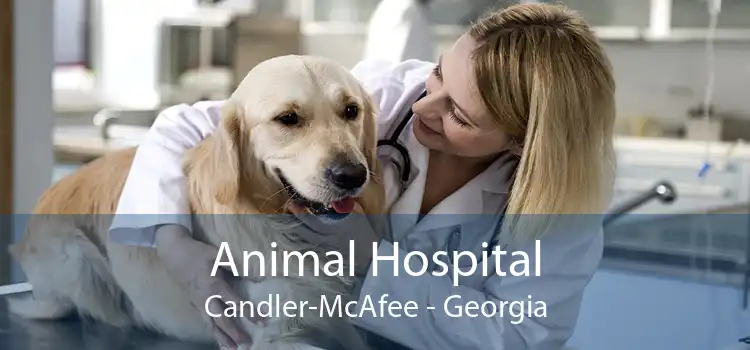 Animal Hospital Candler-McAfee - Georgia