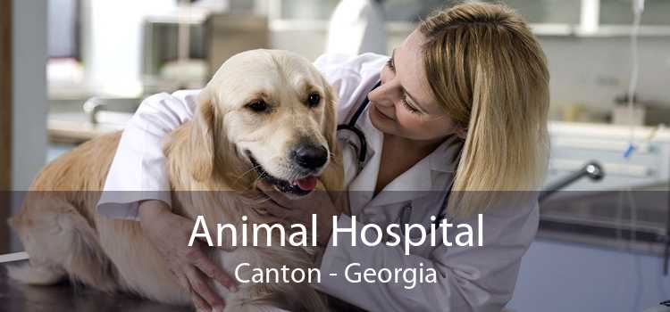 Animal Hospital Canton - Georgia