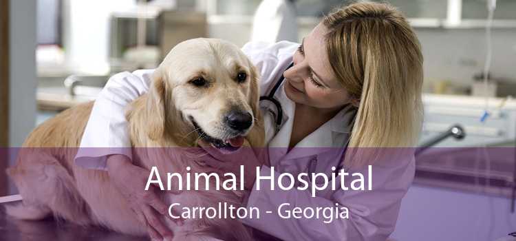 Animal Hospital Carrollton - Georgia