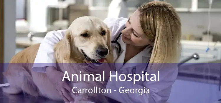 Animal Hospital Carrollton - Georgia