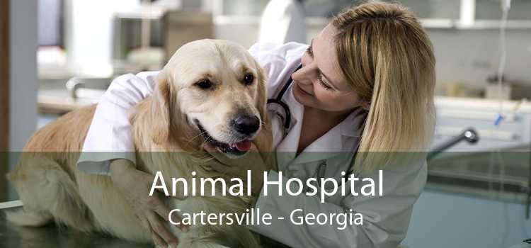 Animal Hospital Cartersville - Georgia