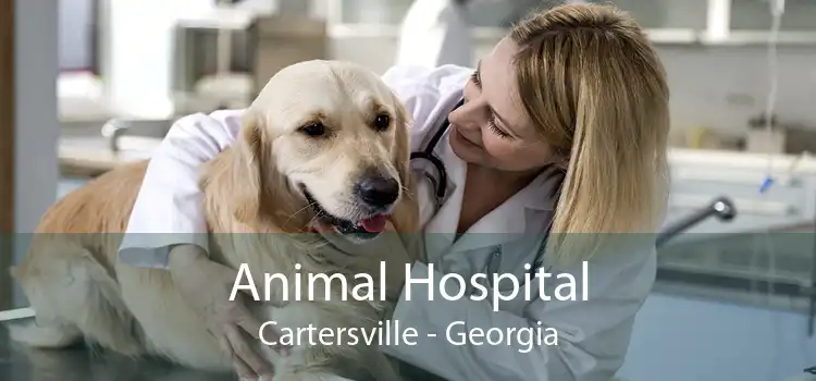 Animal Hospital Cartersville - Georgia
