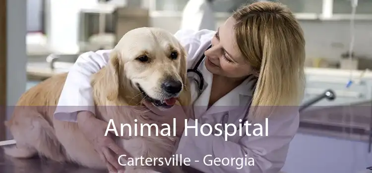 Animal Hospital Cartersville - Georgia