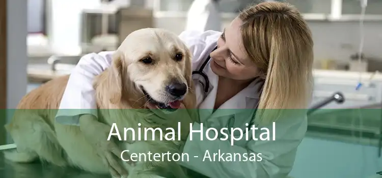 Animal Hospital Centerton - Arkansas