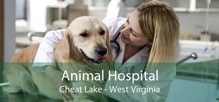 Animal Hospital Cheat Lake - West Virginia