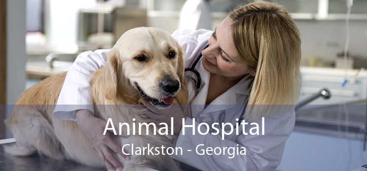 Animal Hospital Clarkston - Georgia