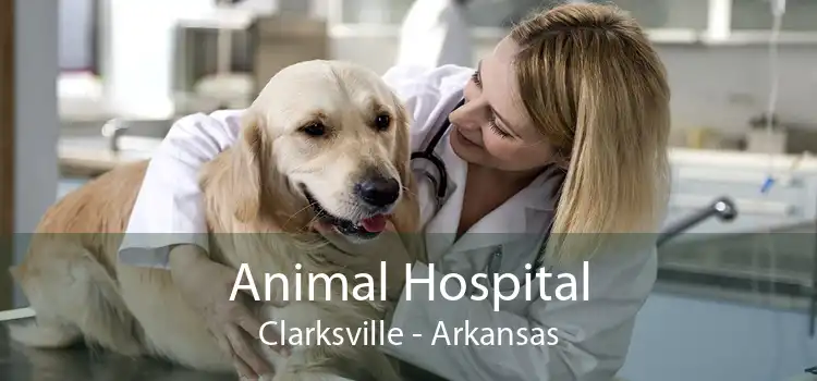 Animal Hospital Clarksville - Arkansas