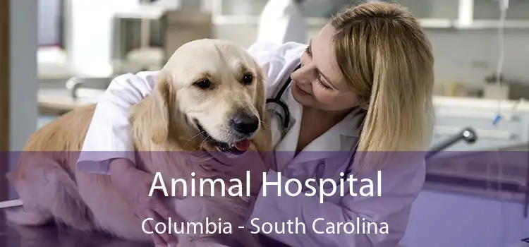 Animal Hospital Columbia - South Carolina