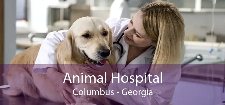 Animal Hospital Columbus - Georgia