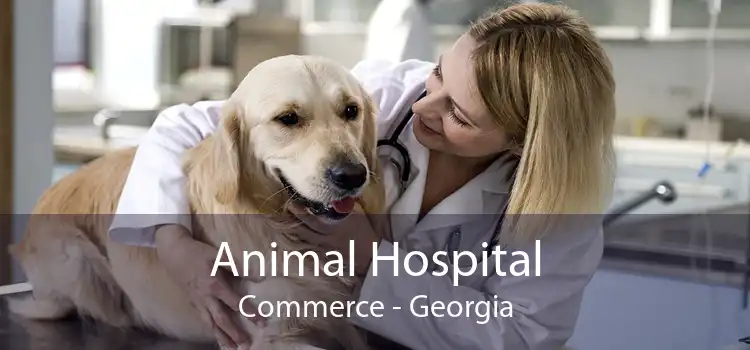Animal Hospital Commerce - Georgia