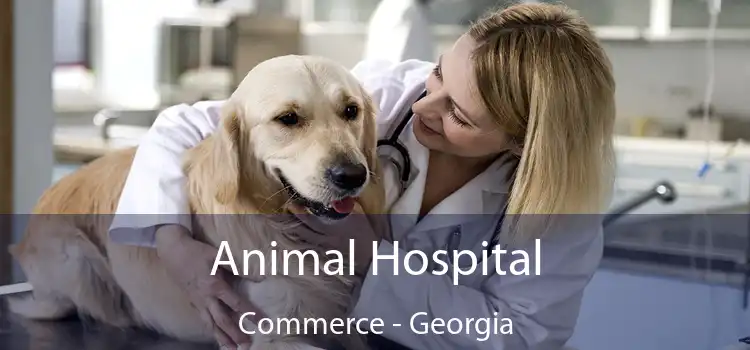 Animal Hospital Commerce - Georgia