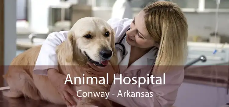 Animal Hospital Conway - Arkansas