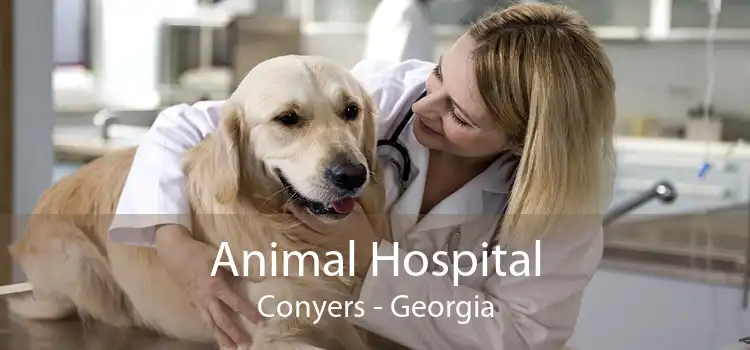 Animal Hospital Conyers - Georgia